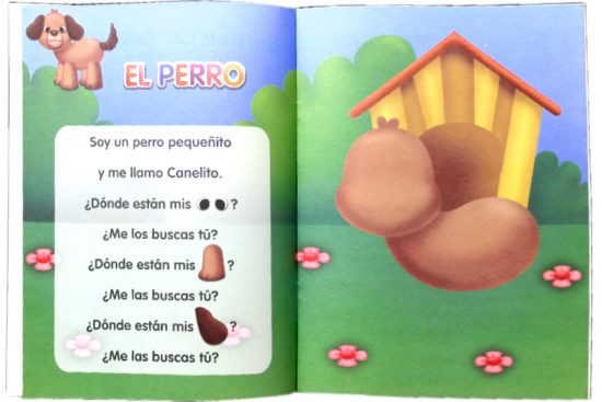 Wiwi Mayoreo