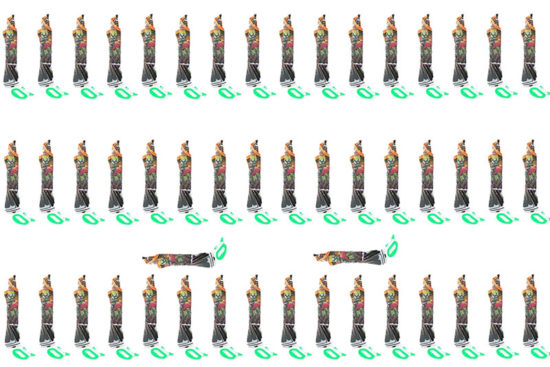Wiwi Mayoreo
