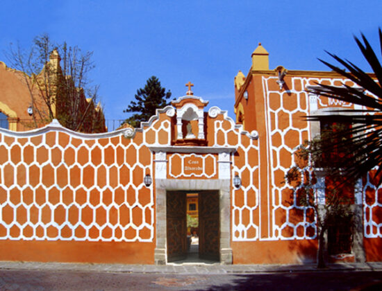 Wiwi Mayoreo
