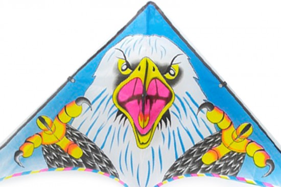 Wiwi Mayoreo