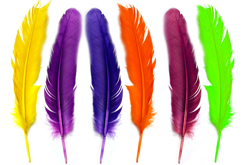 Plumas de Colores