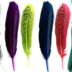 "Alas de Color: Paquete de 12 Plumas Pintadas de Guajolote o Pavo (25-30 cm)"