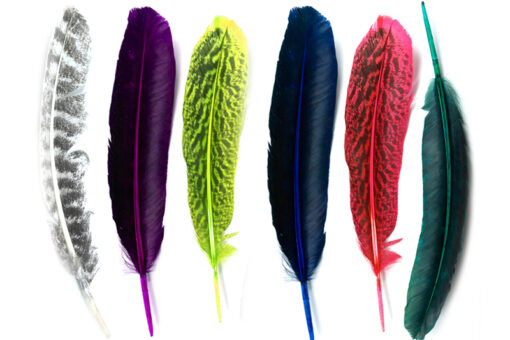 "Alas de Color: Paquete de 12 Plumas Pintadas de Guajolote o Pavo (25-30 cm)"