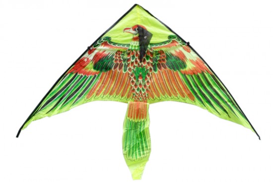 Wiwi Mayoreo